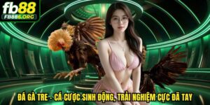 đá gà tre FB88